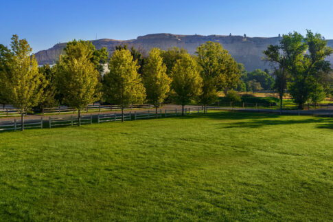 Henry's Garage Gallery