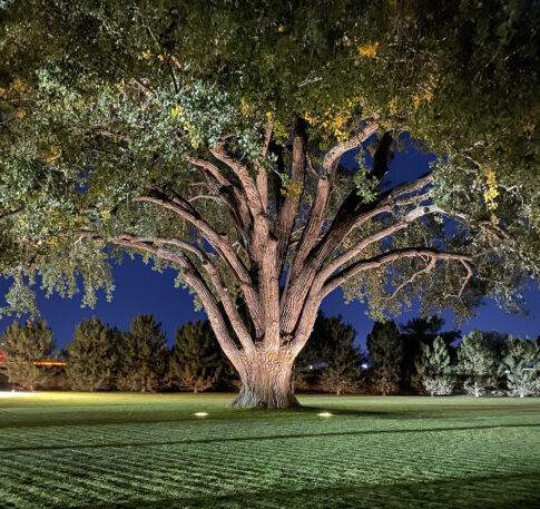 Henry's Garage Gallery